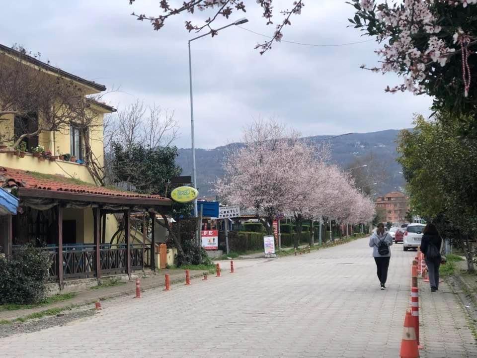 Eren Villa Sapanca Exterior photo