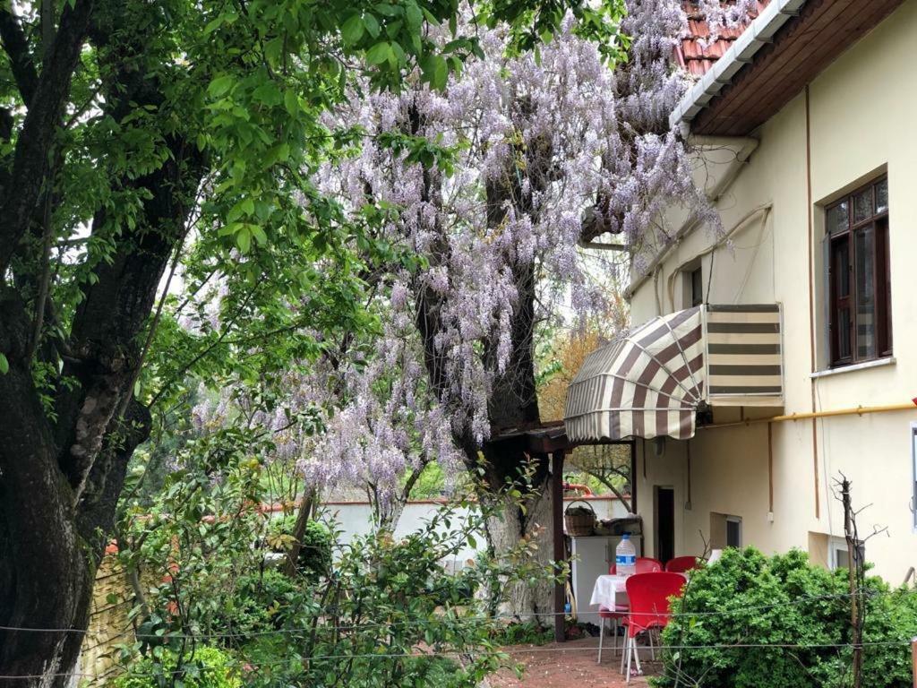 Eren Villa Sapanca Exterior photo